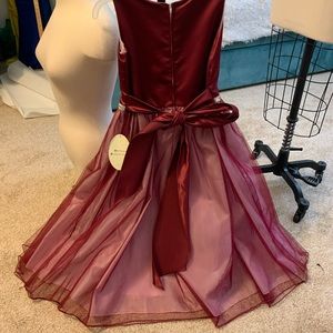 Burgundy Chic Baby designer dress